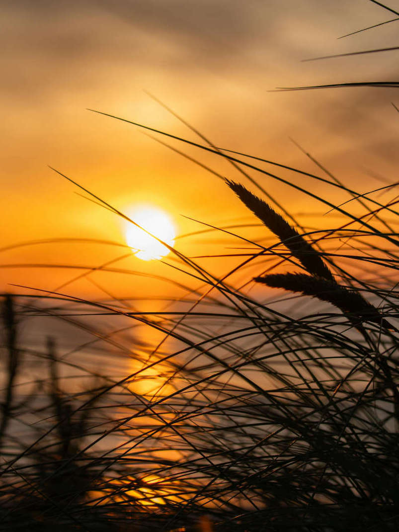 Sonnenuntergang duene meer-blick