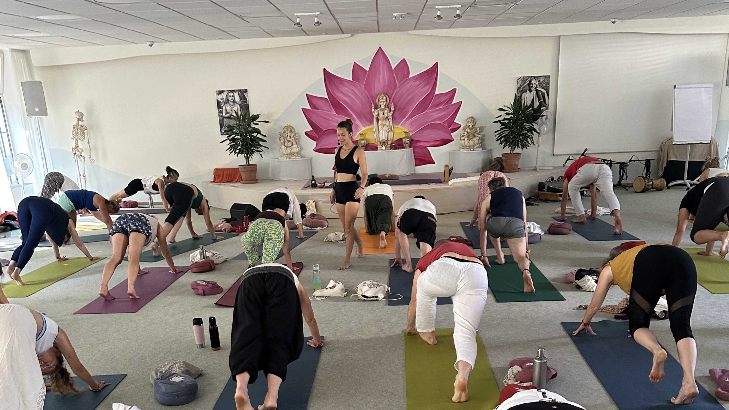 Lotus Flow Yogafestival, im Hintergrund Berge, Menschen, die in der Natur Yoga praktizieren